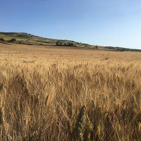 Gibbesi Country Farm Piccolo Cottage Naro Екстер'єр фото
