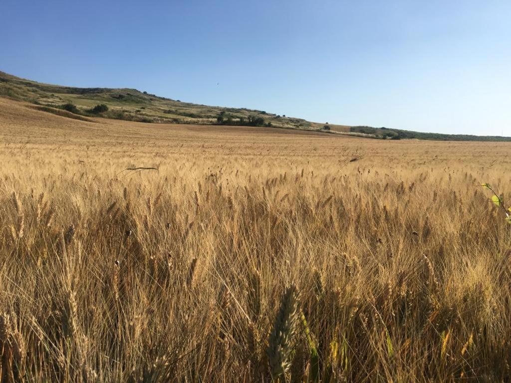 Gibbesi Country Farm Piccolo Cottage Naro Екстер'єр фото